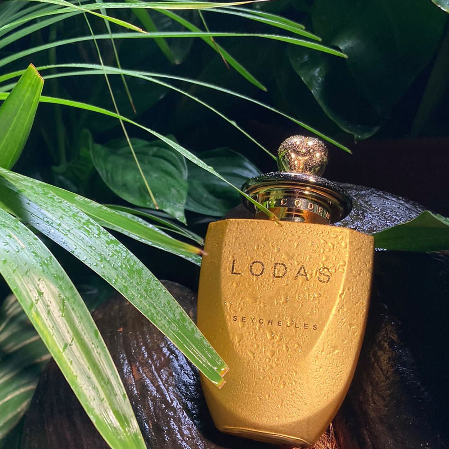 LODAS 75mL Lifestyle 2