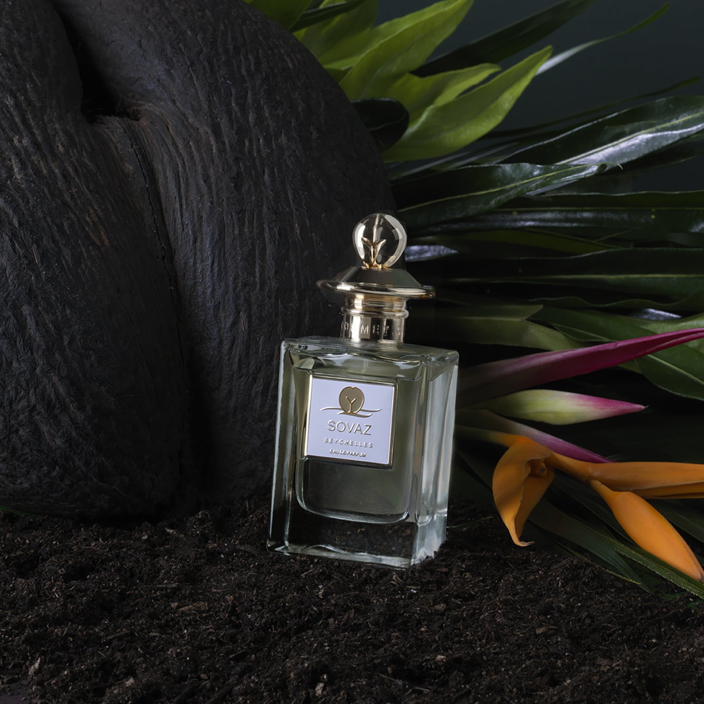 SOVAZ 50mL Lifestyle