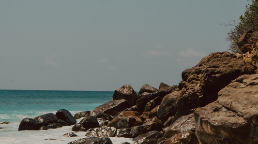 ESSENCE: FROM THE HOMELAND TO THE MOTHERLAND: A BEAUTY PILGRIMAGE WITH THE COCO DE MER