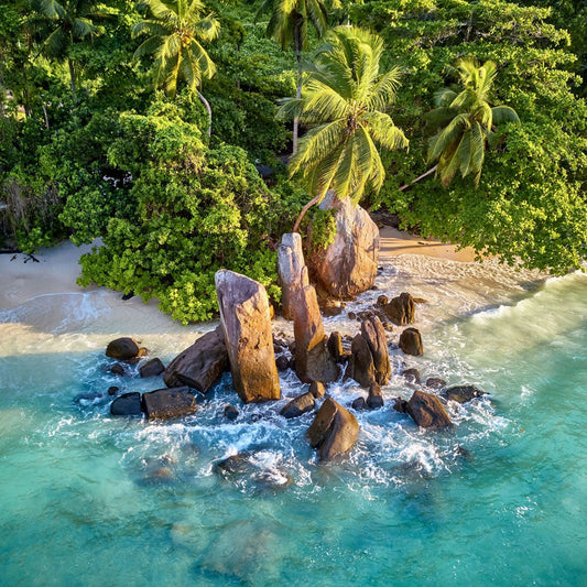 FRAGRANTICA: COCO DE MER COLLECTION LAUNCHES IN THE US