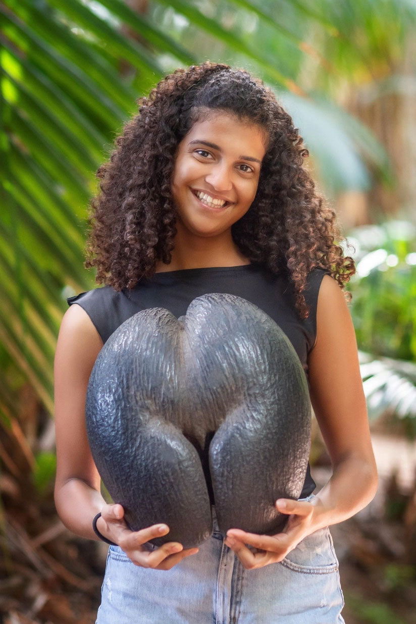 young woman holding a coco de mer in Seychelles