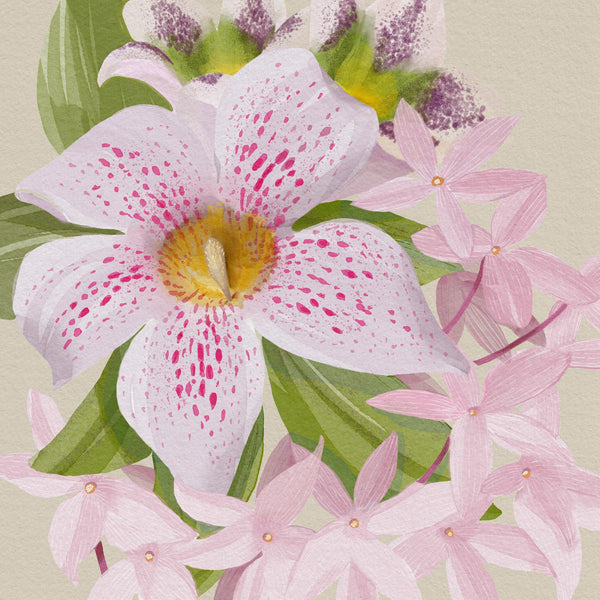 Watercolor illustration of tropical orchids with pink speckles and green leaves, evoking Seychelles luxury fragrance essence.