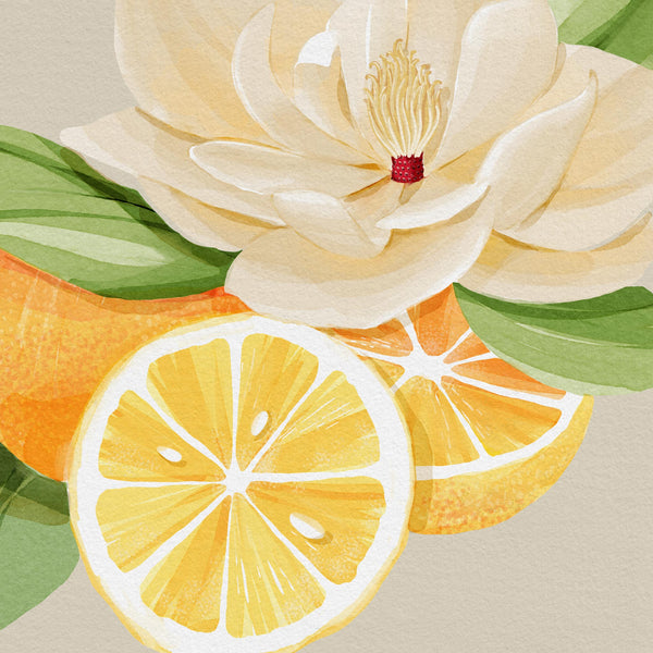 Watercolor magnolia flower with lemon and orange slices, evoking tropical luxury fragrance notes
