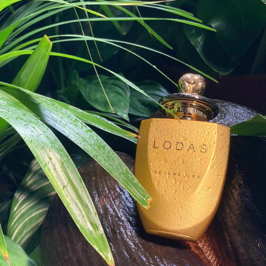 Lodas perfume on a coco de mer in the jungle