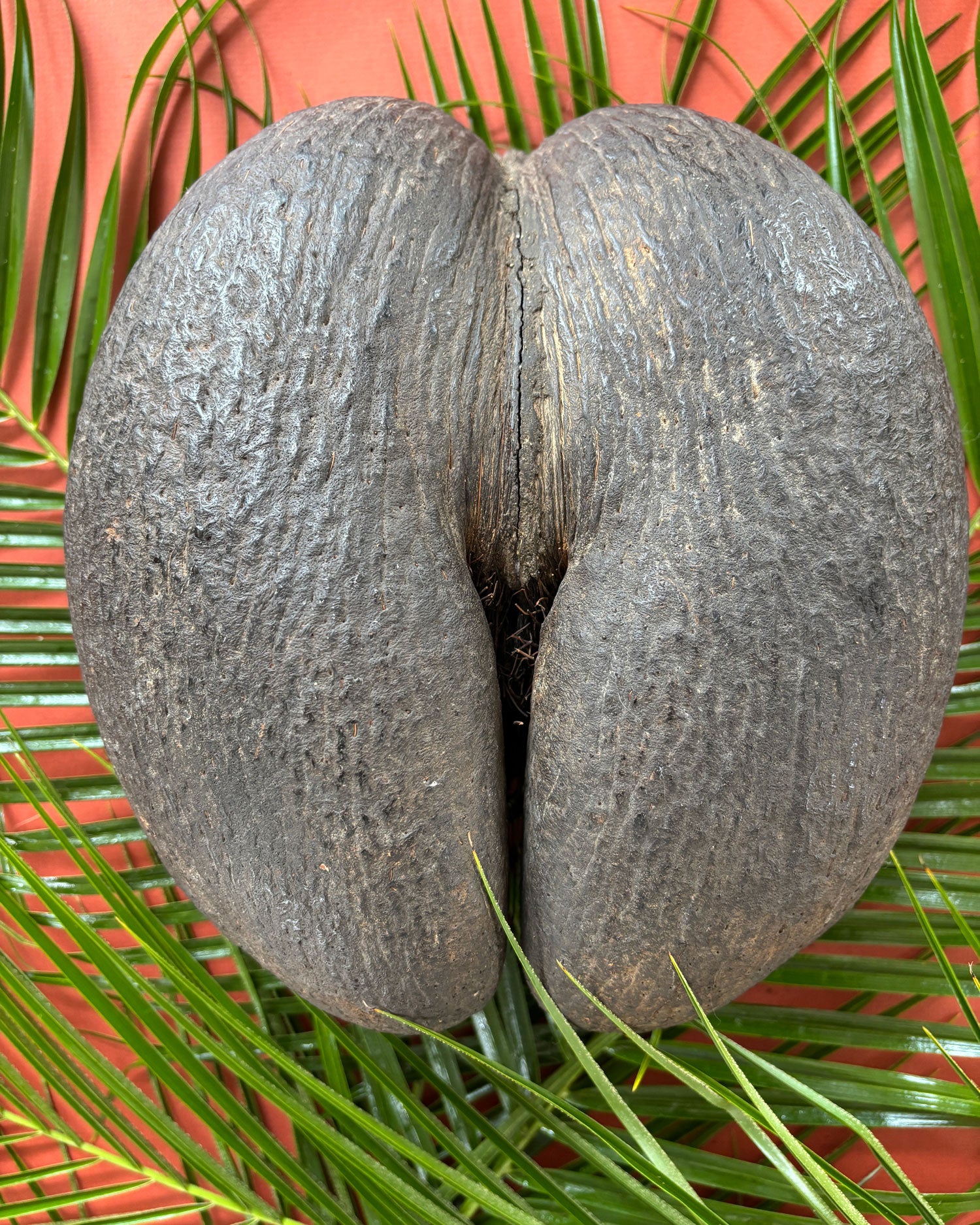 The Coco de Mer Collection is handmade in Seychelles 