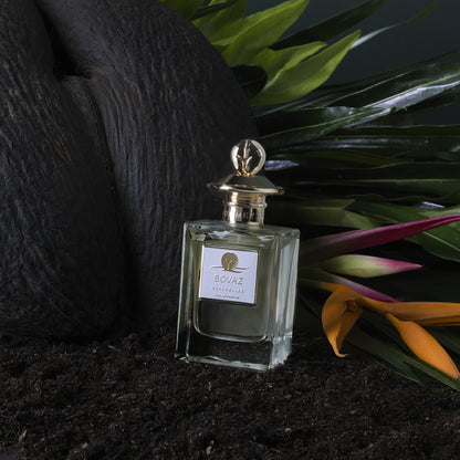 SOVAZ 50mL Lifestyle